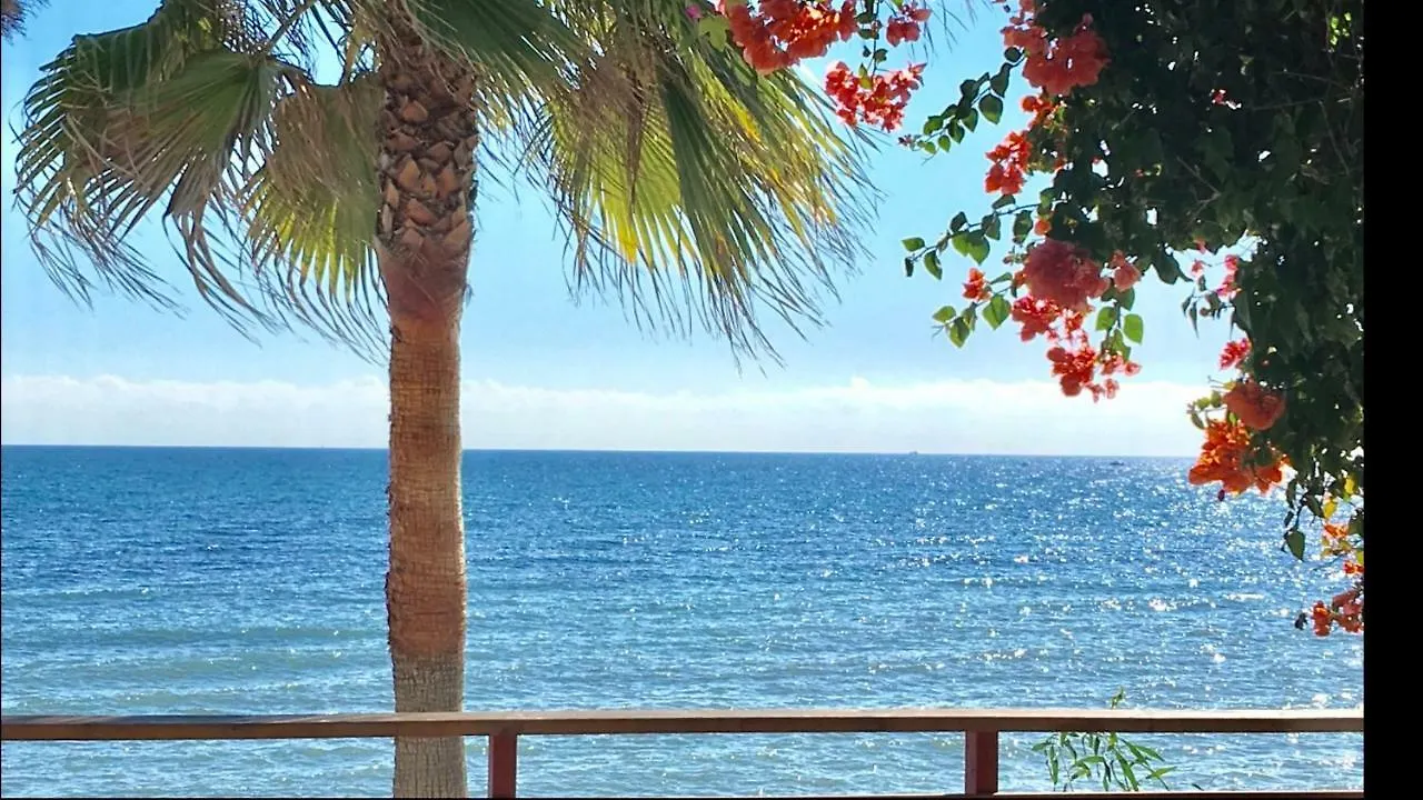 شقة Mi Capricho A12 - Luxury Beachfront Apartment- Costa Del Sol Sitio de Calahonda
